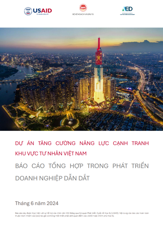 Báo cáo tổng hợp trong phát triển Doanh nghiệp dẫn dắt